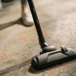 The Benefits of Professional Steam Carpet Cleaning