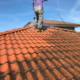 Enhance Your Home’s Appeal with Professional Roof Cleaning in Melbourne